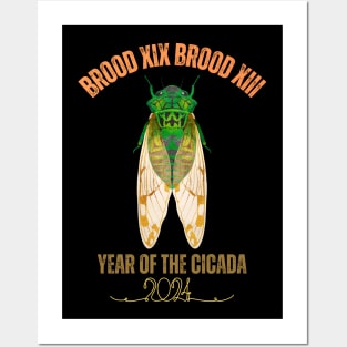 Cicada Lover Brood XIX Brood XIII Year Of The Cicada 2024 Posters and Art